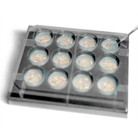 400x400_pipette_w_wells@2x
