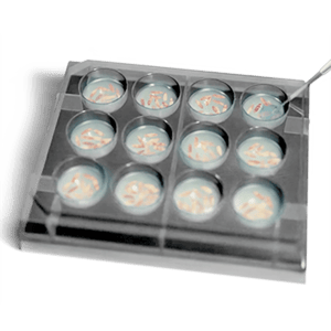 400x400_pipette_w_wells@2x