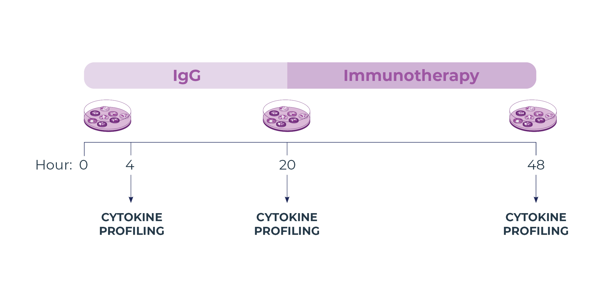 Method-treatment-timeline-white background