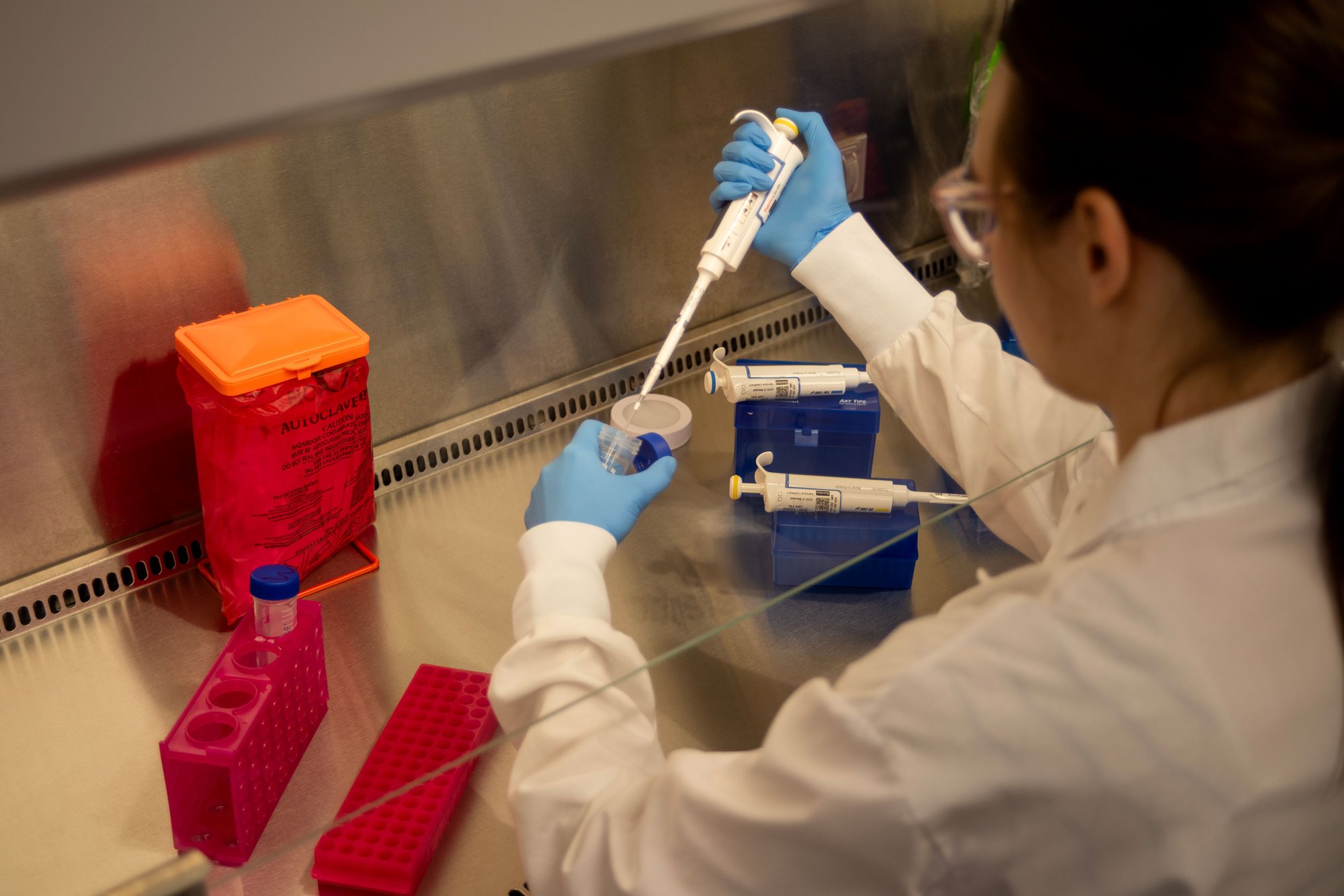 Pipetting under the BSC (Biological Safety Cabinet)
