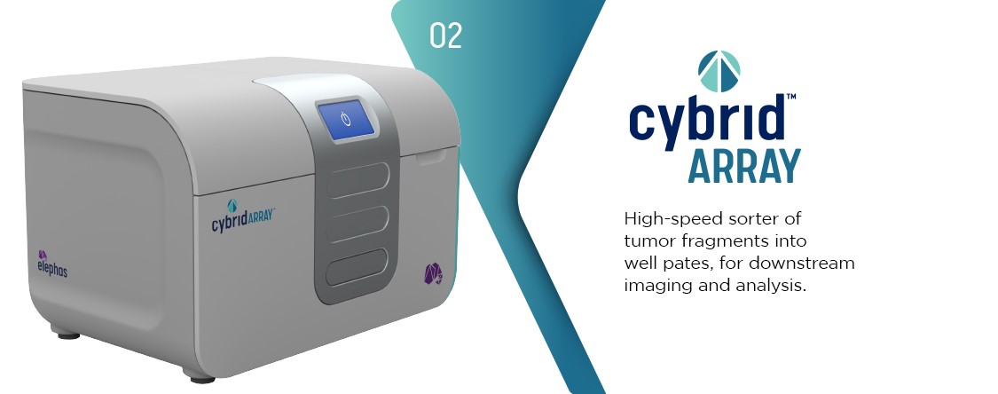 High-speed sorter of tumor fragments into well plates, for downstream imaging and analysis.