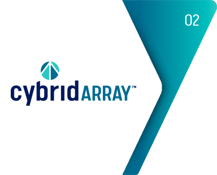 Cybrid Array