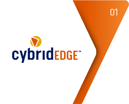 Cybrid Edge
