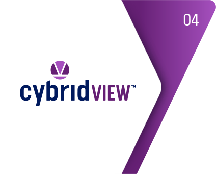 Cybrid View