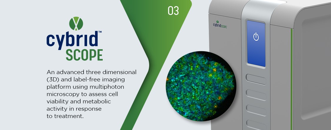 An advanced three dimensional (3D) and label-free imaging platform using multiphoton microscopy to assess cell viability and metabolic activity in response to treatment.