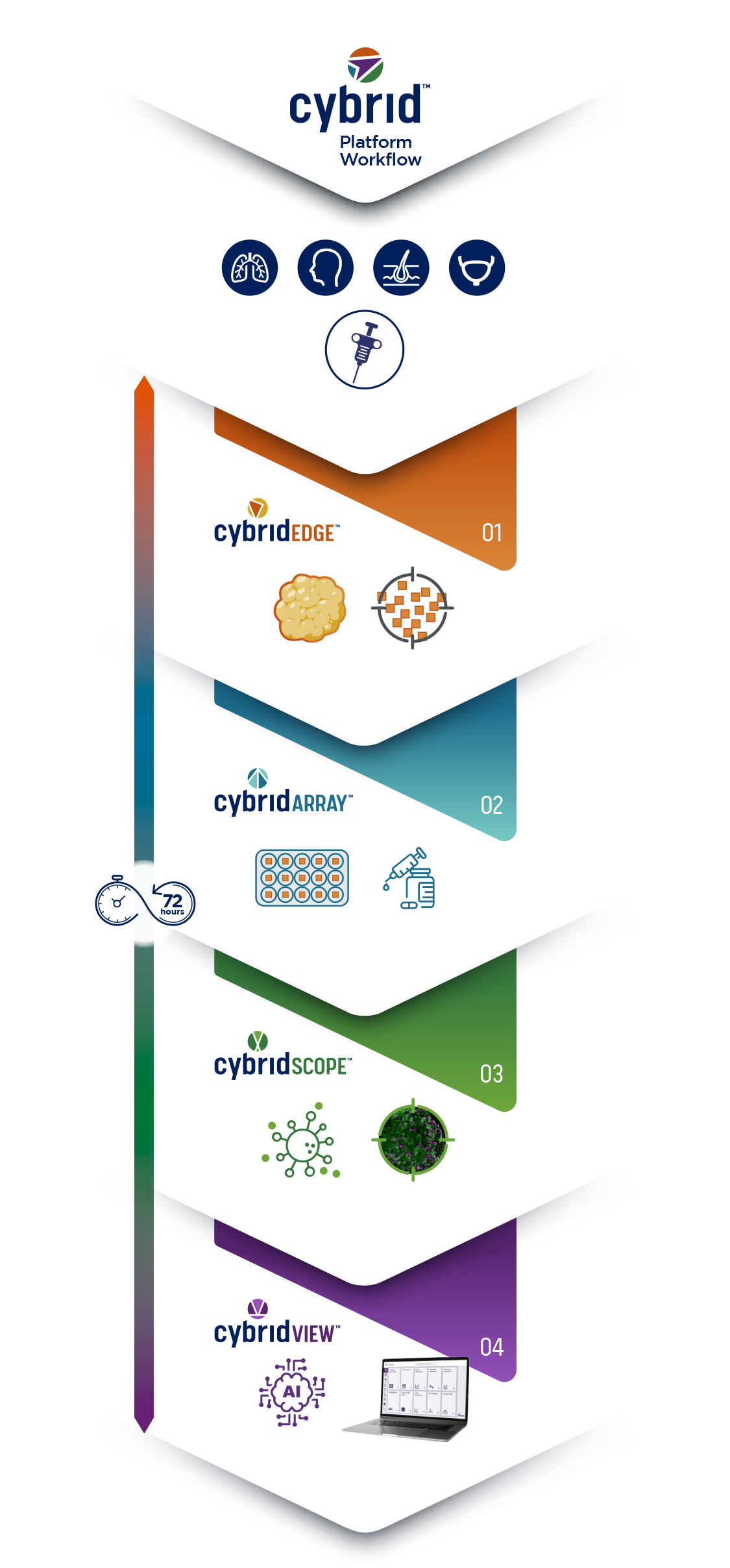 Cybrid Platform Workflow